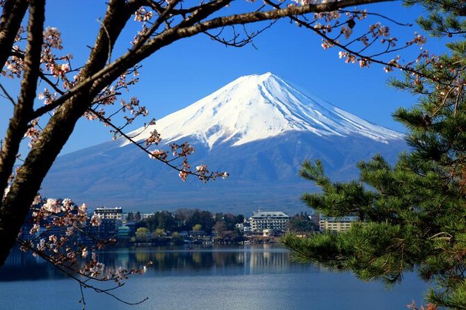 Tokyo to Mt Fuji, Oshino Hakkai: 1-Day Group Tour and Shopping 2024 - Inclusions