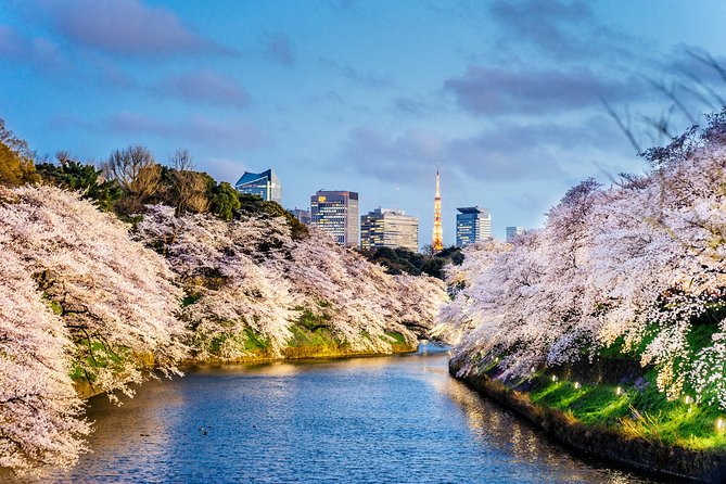 Tokyo Private Chauffeur Driving Sightseeing Tour - English Speaking Driver - Highlights and Landmarks