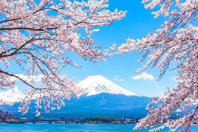 Cherry Blossom Five-Story Pagoda, Mt. Fuji 5th Station, Panoramic Ropeway Day Tour - Directions and Tips for Visiting the Cherry Blossom Tour Spots