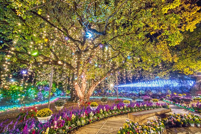 Watarase Keikoku Railway, Takatsudo Gorge,Illumination at Ashikaga Flower Park - Gunma Prefecture in Japan