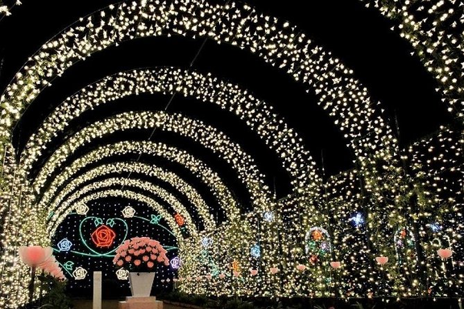 Watarase Keikoku Railway, Takatsudo Gorge,Illumination at Ashikaga Flower Park - Activity Ends Back at the Meeting Point