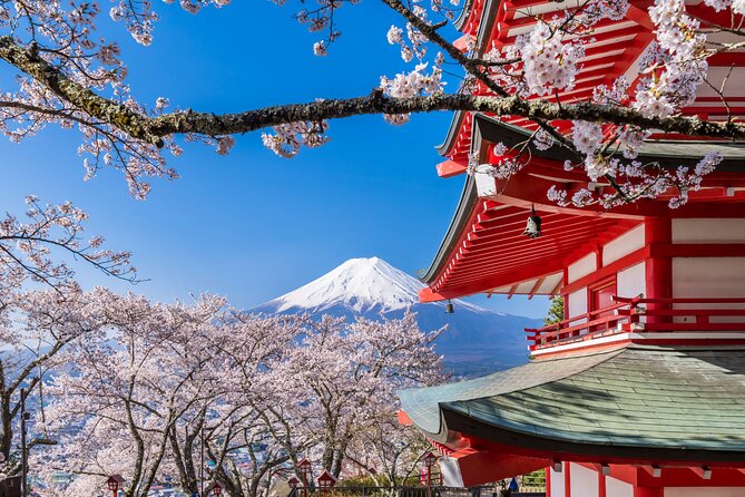 Mount Fuji Five Lakes Tour From Tokyo With Guide & Vehicle - Transportation and Pick-up