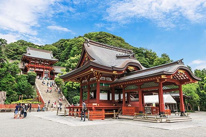 Kamakura 8 Hr Private Walking Tour With Licensed Guide From Tokyo - Temples and Shrines: Immerse Yourself in Spiritual Landmarks