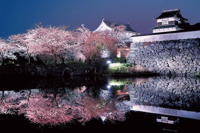A Day Charter Bus Tour Around Cherry Blossoms in Northern Kyushu - Contact and Assistance Information