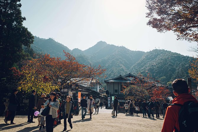 Hiroshima Custom Half Day Tour - Tour Guide and Contact Information