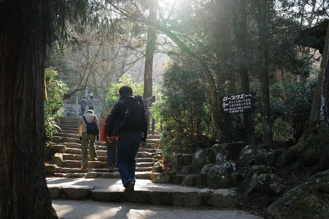 Miyajima Island Tour With Certified Local Guide - Tour Highlights