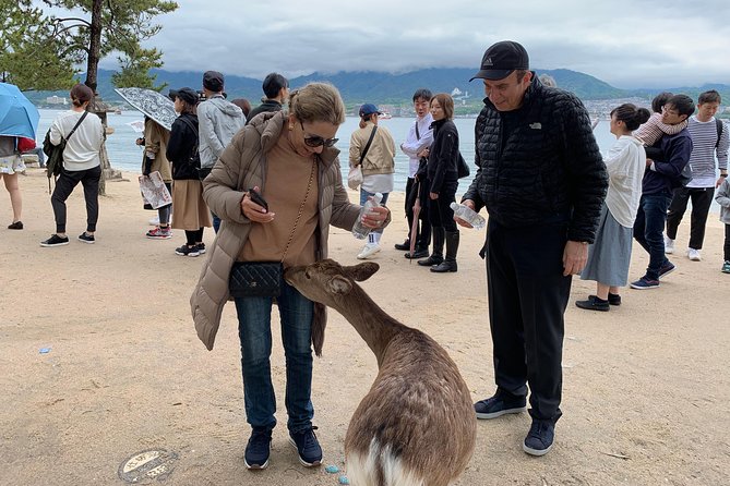 Miyajima Half-Day Private Tour With Government Licensed Guide - Tour Itinerary