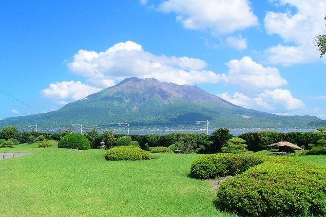 Kagoshima Full-Day Private Tour With Government-Licensed Guide - Traveler Assistance