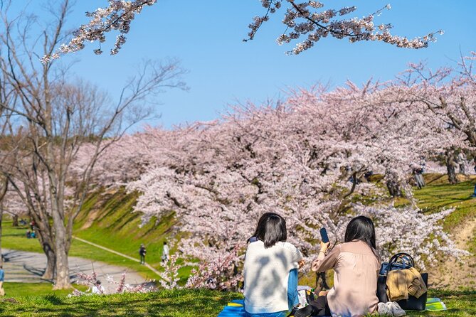 4 Hour Private Cherry Blossom "Sakura" Experience in Nagasaki - Tour Highlights