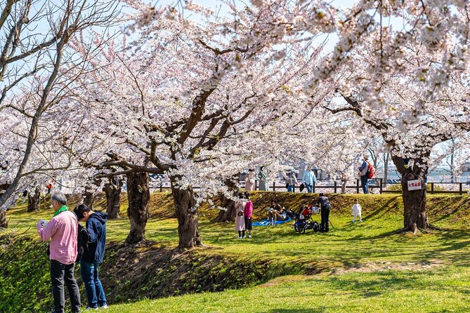 4 Hour Private Cherry Blossom "Sakura" Experience in Nagasaki - Booking Information