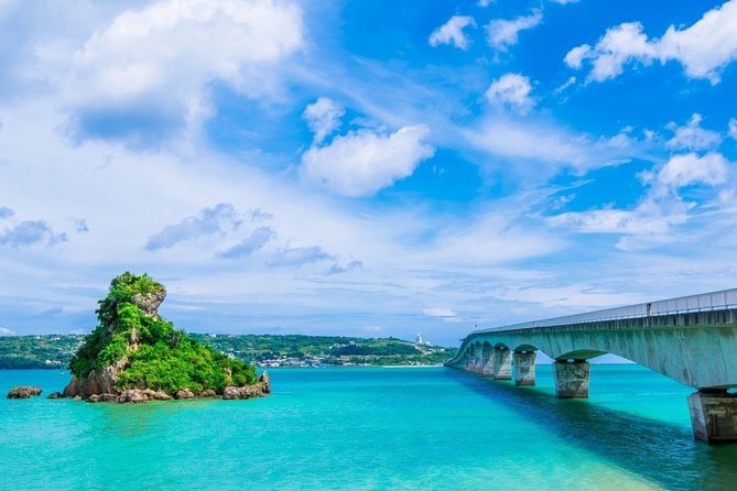 Okinawa Full-Day Private Transport Service 2024 - Naha - Overview and Service Details