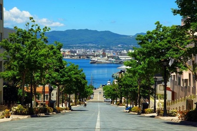 Hakodate Half-Day Private Tour With Government-Licensed Guide - The Sum Up