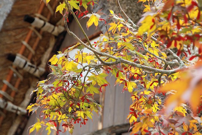 Kanazawa Takayama (One Way) Including Shirakawago (Private Tour) - Opportunity to See Traditional Thatched-Roof Houses