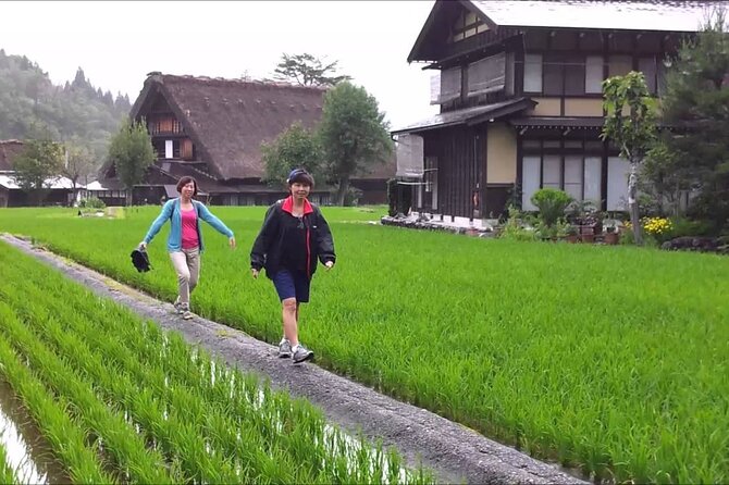 Shirakawago & Takayama Tour Kanazawa DEP: Driver Only, No Guide - Frequently Asked Questions