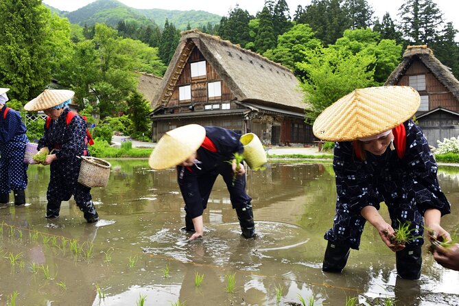 Shirakawago & Takayama Tour Kanazawa DEP: Driver Only, No Guide - Traveler Photos