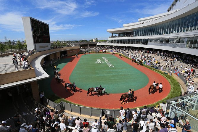 A Tour to Enjoy Japanese Official Gambling (Horse Racing, Bicycle Racing, Pachinko) - Pricing and Terms