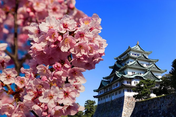 Nagoya Private Tours With Locals: 100% Personalized, See the City Unscripted - Price and Payment