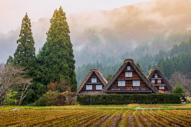 Nagoya to Takayama & Shirakawa World Heritage English Guide - Tips and Recommendations for a Memorable Trip