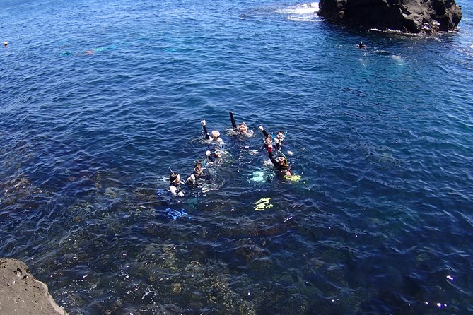 Half-Day Snorkeling Course Relieved at the Beginning Even in the Sea of Izu, Veteran Instructors Wil - Safety Precautions and Guidelines