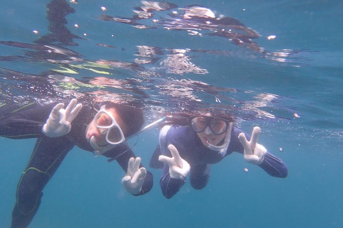 Half-Day Snorkeling Course Relieved at the Beginning Even in the Sea of Izu, Veteran Instructors Wil - Exploring the Beautiful Underwater World
