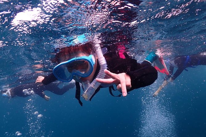 Scuba Diving & Snorkeling - Benefits of Scuba Diving