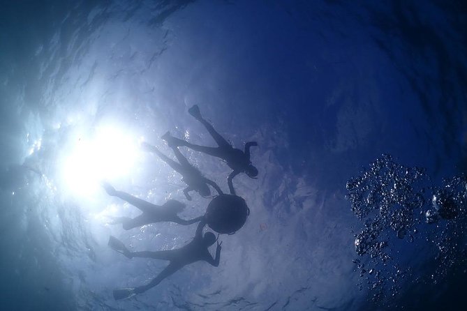 Scuba Diving & Snorkeling - Popular Scuba Diving Destinations