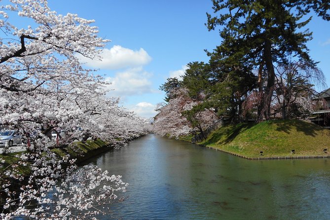 Private Cherry Blossom Tour in Hirosaki With a Local Guide - The Sum Up
