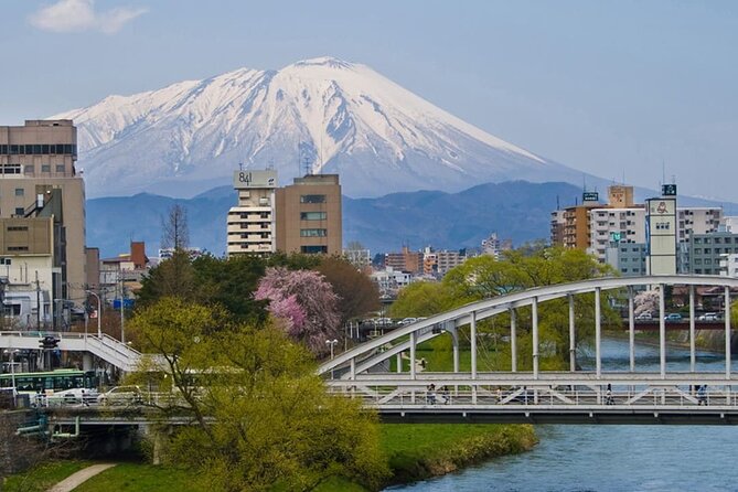 Morioka Full-Day Private Tour With Government-Licensed Guide - Additional Information and Tips