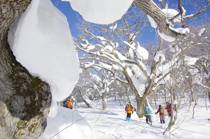 Fluffy New Snow and the Earth Beating, Goshougake Oyunuma Snowshoeing Tour - The Sum Up