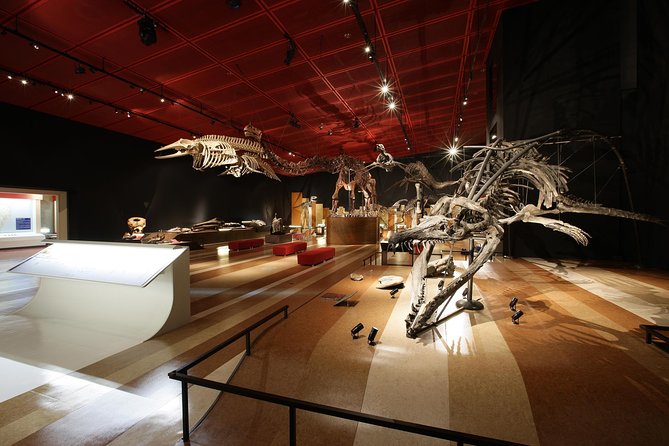 Coal & Fossil Museum Admission Ticket - Family-Friendly Experience