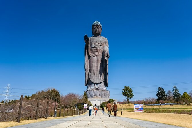 The Tallest Great Buddha Spot Walking Tour - Tour Overview and Logistics