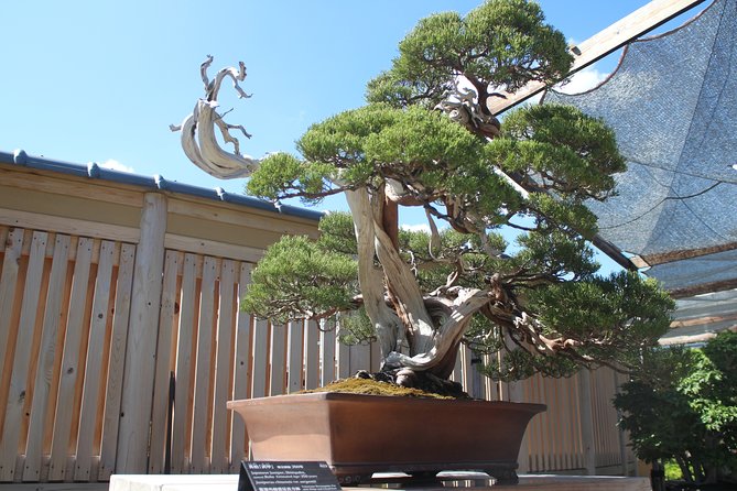 Bonsai Museum & Bonsai Experience - Frequently Asked Questions (FAQs)