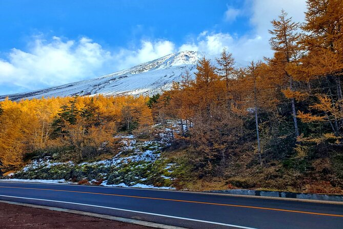 Mount Fuji Personalized Private Tour With English Speaking Guide - Itinerary Overview