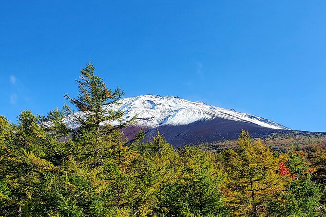 Mount Fuji Personalized Private Tour With English Speaking Guide - The Sum Up