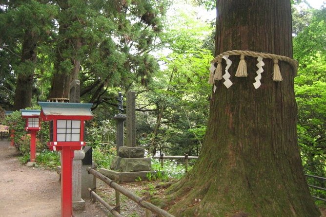 Nature Tour at Mt. Takao - Overview and Details