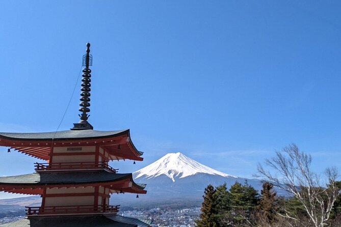 1 Day Tour Mt Fuji Lake Kawaguchiko English Speaking Driver Guide - Pickup and Transportation