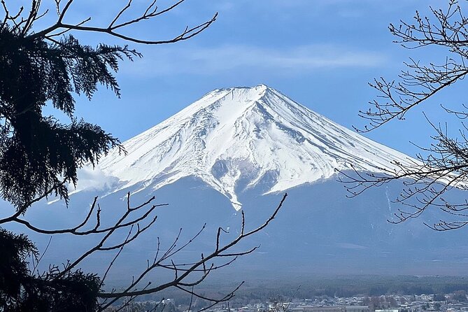 1 Day Tour Mt Fuji Lake Kawaguchiko English Speaking Driver Guide - Pricing and Booking