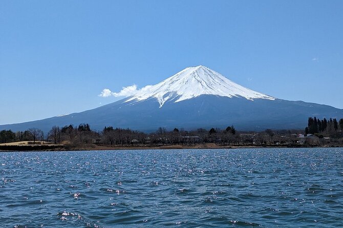 1 Day Tour Mt Fuji Lake Kawaguchiko English Speaking Driver Guide - Traveler Photos and Reviews