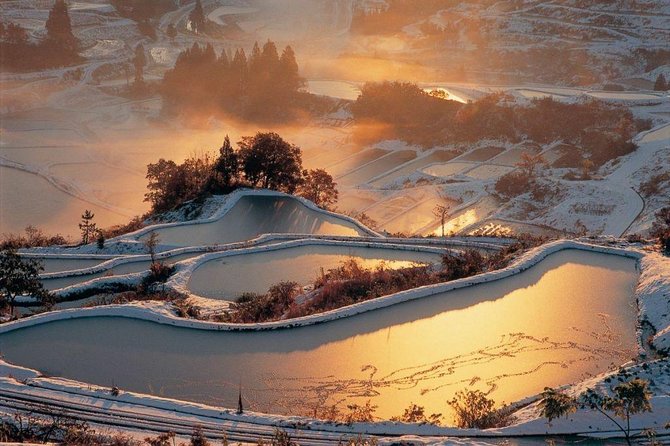 Niigata Full-Day Private Tour With Government-Licensed Guide - Frequently Asked Questions