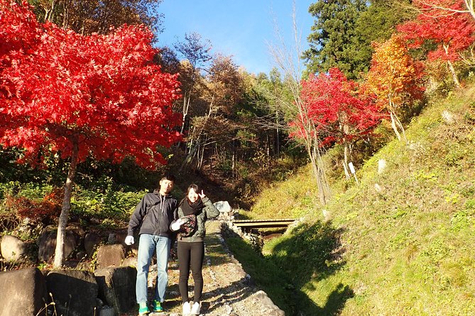 Short Morning Cycling Tour in Hida - Insightful Guide