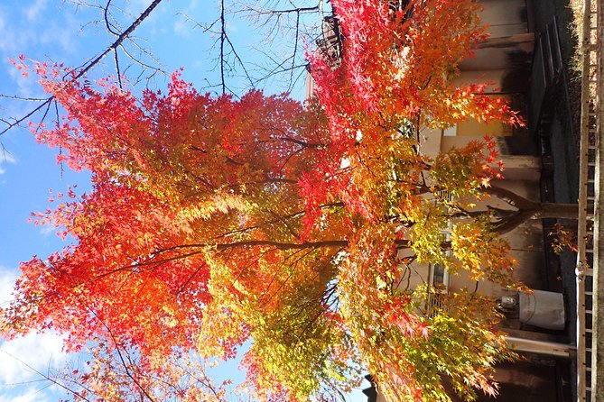 Short Morning Cycling Tour in Hida - Locals-Only Places