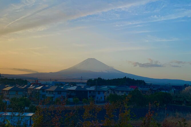 3-Hour Gotemba Food and Nightlife Izakaya Walking Tour - Local Food Delights