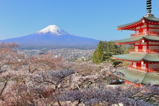 Tour De Un Día Completo Al Monte Fuji - Frequently Asked Questions