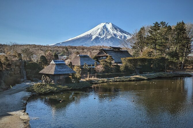 Tour De Día Completo Al Monte Fuji Con Guía En Español. - Información Adicional Y Términos Y Condiciones
