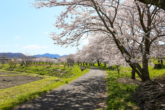 Backroads Exploring Japan's Rural Life & Nature: Half-Day Bike Tour Near Kyoto - Inclusions