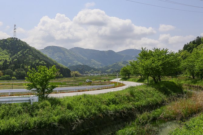 Backroads Exploring Japan's Rural Life & Nature: Half-Day Bike Tour Near Kyoto - Price and Additional Information
