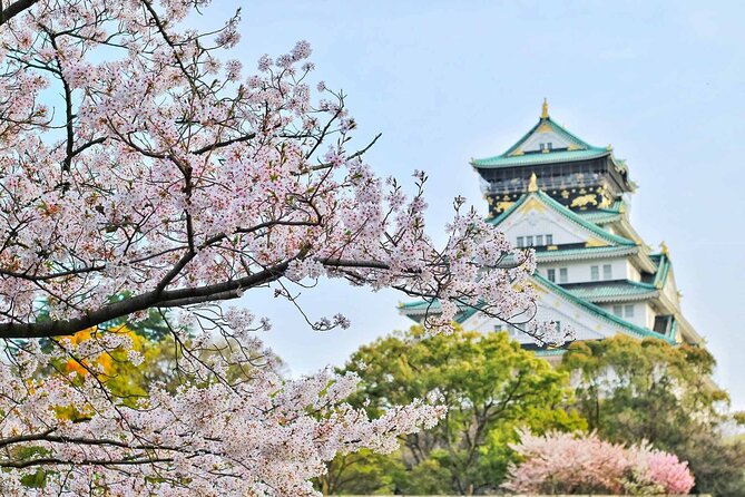 Osaka 6hr Instagram Highlights Private Tour With Licensed Guide - Review 2: Lovely Day With Guide Mimmy