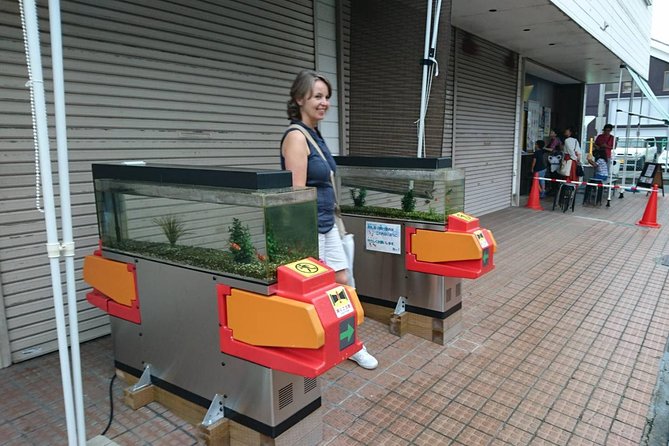 Yamato-Koriyama Castle and Goldfish Small-Group Tour From Nara - Traveler Reviews