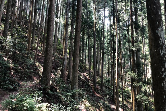 Historic and Natural Guided Hike in Yoshino - Frequently Asked Questions