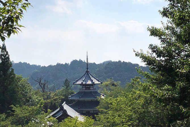 Historic and Natural Guided Hike in Yoshino - Additional Information